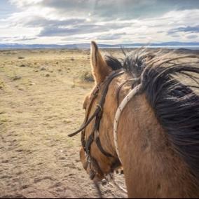 You will remain for 1 hour and 40 minutes on the horse, which makes it the shortest riding activity in the area of El Calafate.