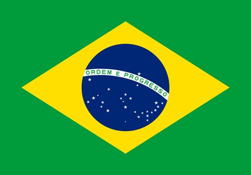 WORLD SYSTEM BUILDERS BRAZIL TRIP APRIL
