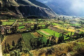 INCA DISCOVERY $1,399 8 S Explore s Inca and colonial past Wander through the Sacred Valley Visit a local weaving co-operative Kit your wardrobe with woolly hats View incredible Andean landscapes