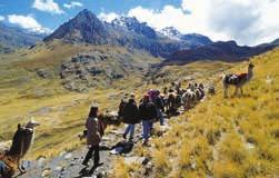 INCA DISCOVERY LARES TREK BACKROADS & $1,399 HIGHLANDS OF PERU $1,749 8 S 17 S Enjoy magnificent Andean vistas along this less-trodden route Feel welcomed by the warm Quechua people along the way See