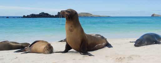 PERU TOURING & GALÁPAGOS ISLANDS Free Flights If you combine any G Adventures tour of Peru with a trip to the Galápagos, we ll throw in a free one-way flight to get you between and!