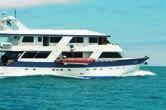 rep in Group Size: Max 16, Avg 12 Tour Code: As shown SOUTHERN ISLANDS WESTERN ISLANDS $2,199 6 S INCLUDE 3 nights cruising aboard the Daphne (G3) Snorkel with playful and inquisitive sea lions and