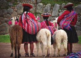 $3,799 35 S CUSTOMISE YOUR TRIP Why not add an optional theme pack to customise your trip? Peru Adrenalin Pack Fr $80 Whitewater rafting (, full day), Horseback riding (, half day).