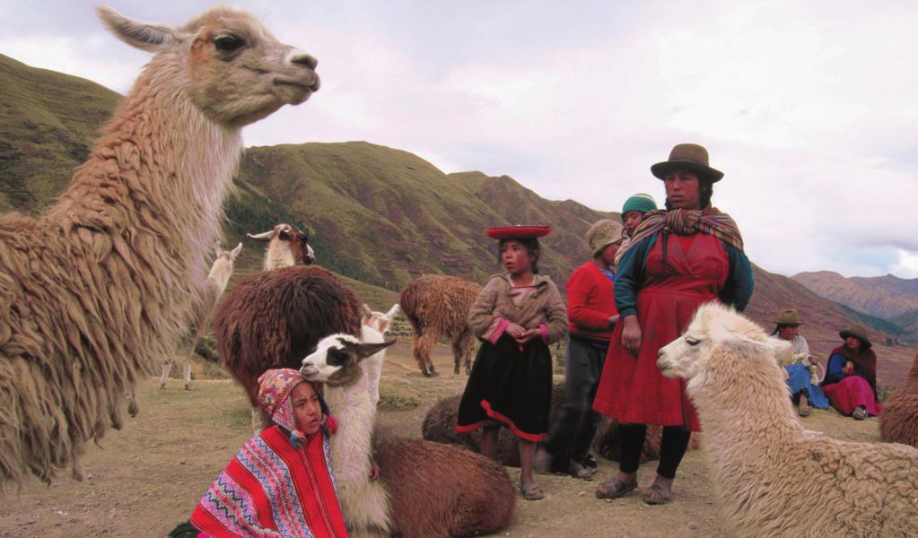 Page 5 of 7 isthmus: a narrow strip of land that connects two landmasses The word pampa, meaning flat surface, comes from the language of an Andean group of Native Americans called the Quechua (KEHCH