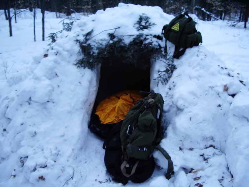 Cold Weather Shelters By Kevin Estela A modified quincee with evergreen boughs supporting the weight of the loose snow.