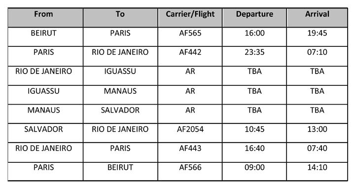 Flight Details Itinerary Day 1 - Sunday - Rio de Janeiro Meals: None Transfer airport - hotel Upon arrival in Rio de Janeiro transfer from the airport to the hotel.