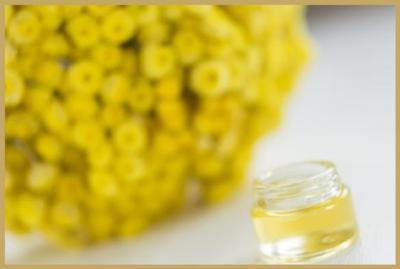 PRODUCTION OF IMMORTELLE ESSENTIAL OIL We use flower buds to make an essential oil of Helichrysum italicum.