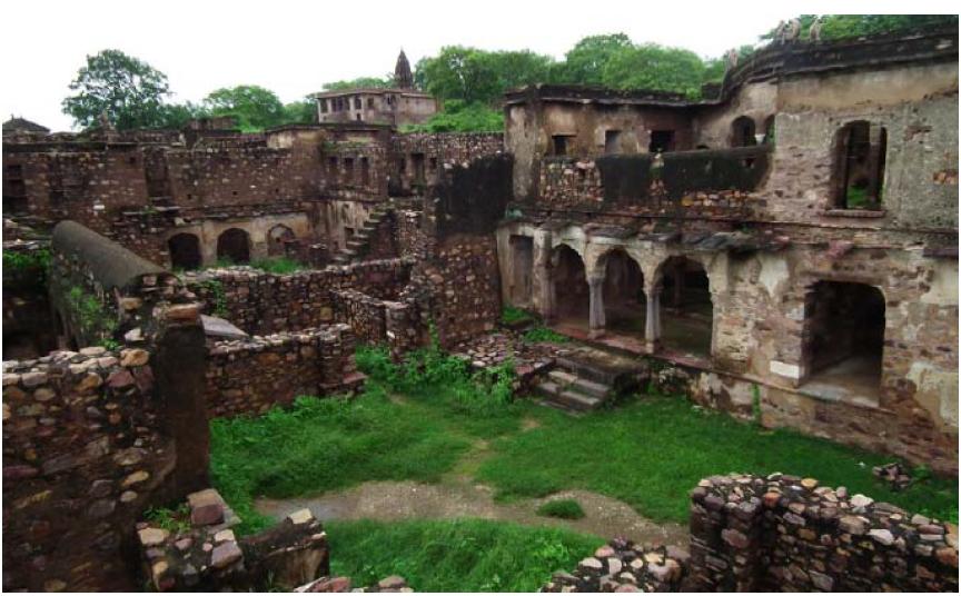 Ranthambore Fort s distinctive contribution to the series arises from it being the only forest fort included in the nomination.