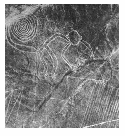 Nazca lines The lines are a variety of geometrical figures, trapezoids, triangles and lines, plus animal and bird figures of hummingbirds, a whale, a
