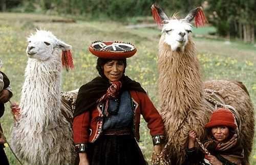 Quechua woman with her alpacas Quechua is a language spoken by 8