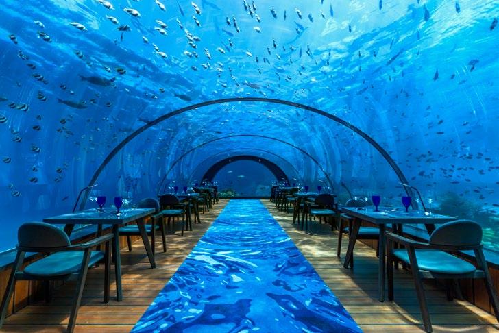 8 Undersea Restaurant - the world s largest, all-glass undersea restaurant for lunch and dinner. Walk down a spiral staircase and be seated at one of the ten tables located 5.