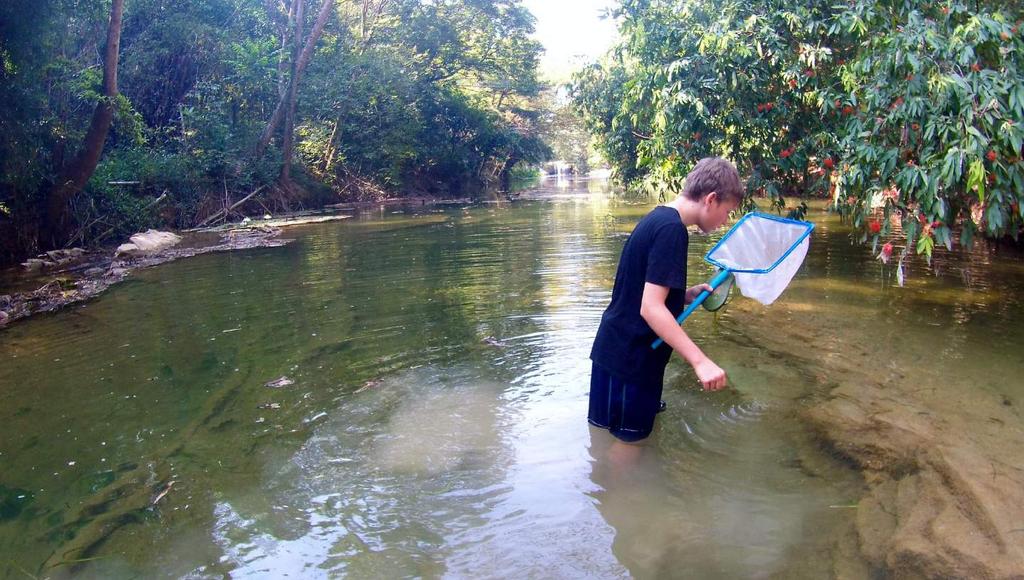 Day 3 RIVERS AND CAVES We study the invertebrates that live in the crystal clear waters of the Muak Lek river at Jed Sao Noi