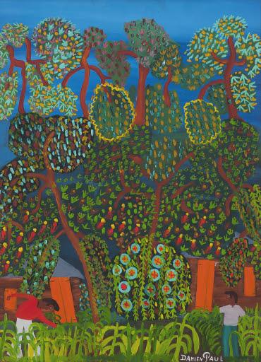 Damien Paul born 1941, Drouillard, Haiti gathering fruit, circa 1970