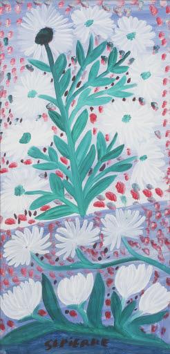 Sepierre White Flowers, circa 1970 Mary Lou Vansant