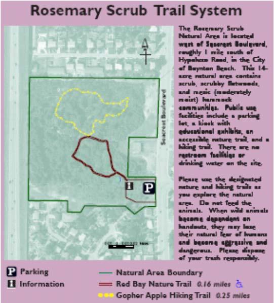 HISTORY OF ROSEMARY SCRUB In January 1995, Palm Beach County bought 5 acres of the natural area from Resolution Trust Corporation. In March 1995, the County purchased an additional 8.