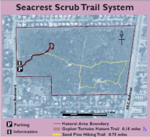 HISTORY OF SEACREST SCRUB The site was purchased in 1994 with funding from Palm Beach County and the City of Boynton.