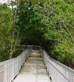 Available Bicycle Path Bike Rack Boardwalk 1 1/4-mile with observation deck on Intracoastal Waterway Boat Ramp/Dock Bocce Court Cemetery Concession Building Cricket Pitch Drinking Fountain 1