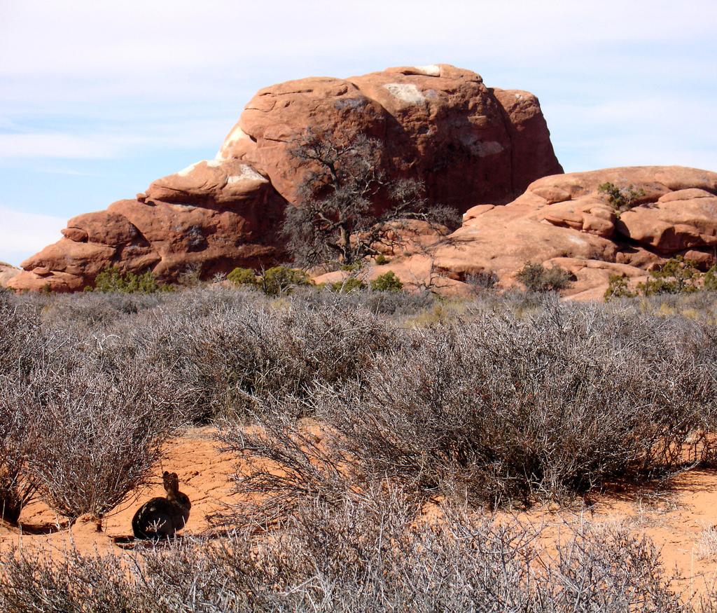 DESERT SOLITAIRE Inconvenient and remote, Moab, Utah is an oft-overlooked gem for true wilderness enthusiasts.