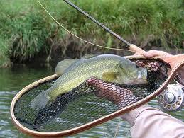 Fishing Trips Take a half day or full day fishing trip as you cast off one of the many rivers here in the Litchfield Hills.
