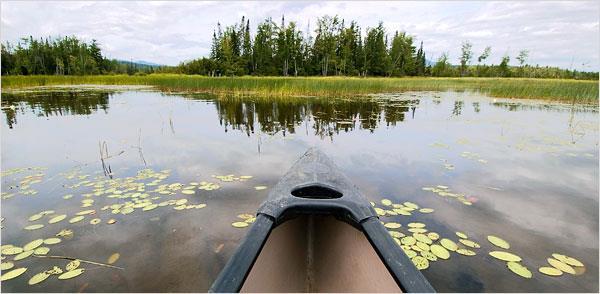 Canoeing & Kayaking Experience the area s natural beauty on the water!