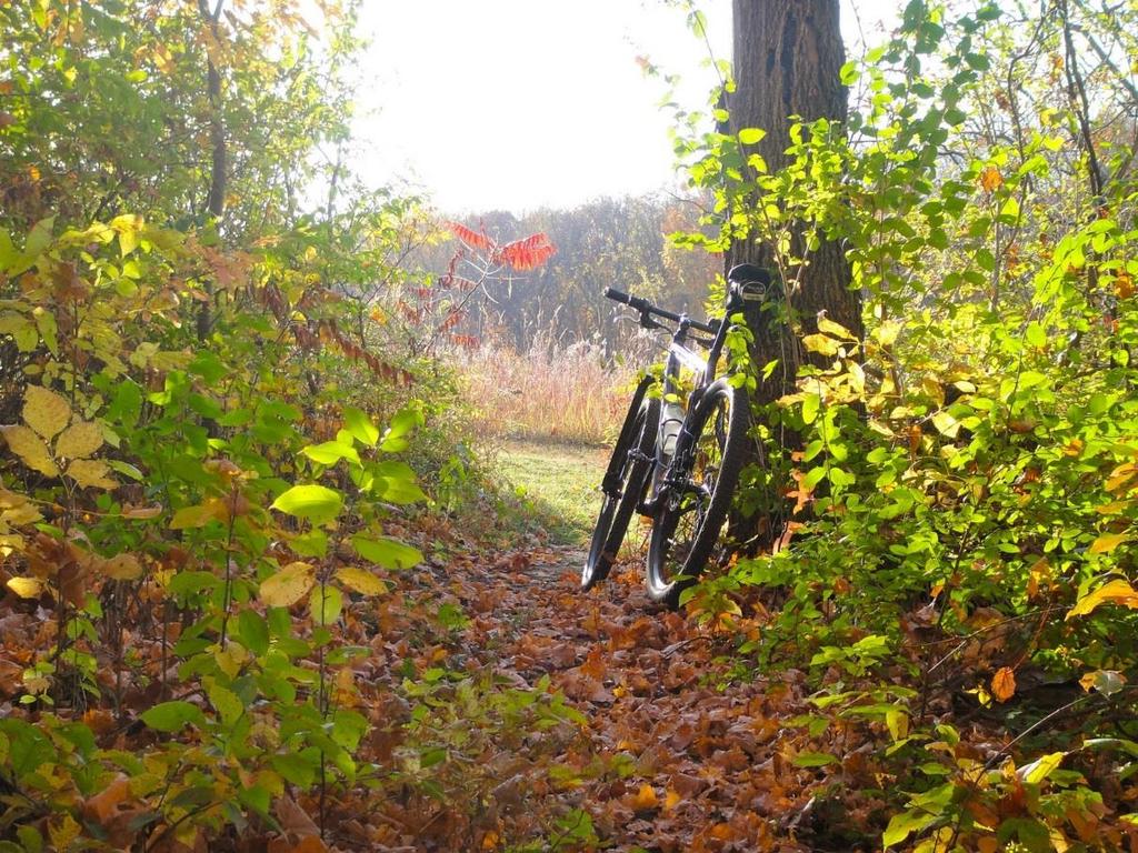 Biking the Litchfield Hills Winvian and the surrounding areas are made to be explored on two wheels.