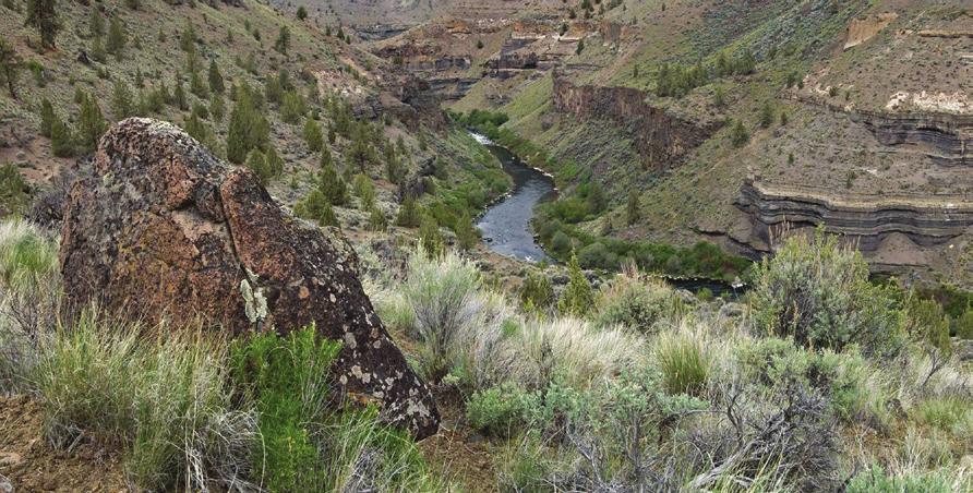 wonders that these canyons offer and where signs of what visitors left thousands of years ago spark our imaginations; where an angler can teach her children the art of