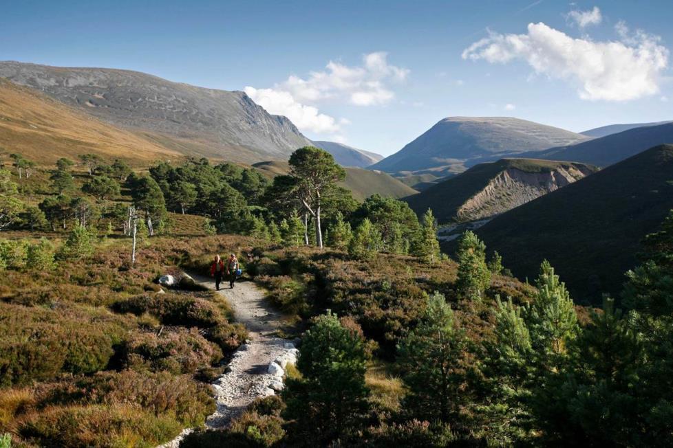 Likelihood to recommend Scotland Visitors are clearly motivated to recommend Scotland as a holiday destination, with 56% stating the strongest intent (10/10).