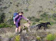 tramping/hiking Track is mostly unformed with steep, rough or muddy sections Suitable for people with good fitness.