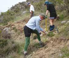 The Department of Conservation works closely with many community groups, trusts and other agencies to further conservation projects on and off public conservation lands.