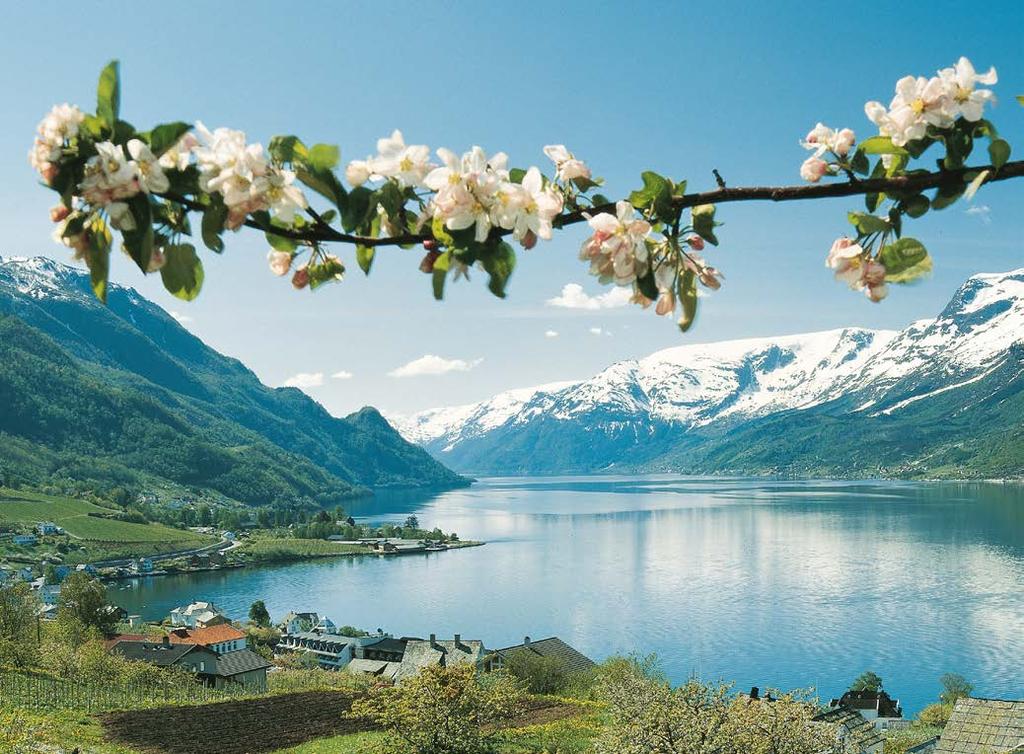 We arrive in Lofthus by the Hardangerfjord where the famous composer Edvard Grieg came to find inspiration. Check in at Hotel Ullensvang.