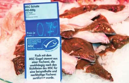 printing the ecolabel on price tags By using clips that are attached to price tags By using a sticker on price tags By using fish tags.