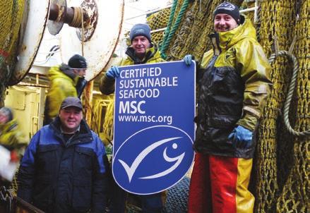 Ecolabel User Guide 6 5. Who can use the MSC ecolabel?