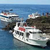 With the same ticket, going to or coming from San Fruttuoso, you can make intermediate stops and use any boat of the Servizio Marittimo Del Tigullio compatibly with the timetable.
