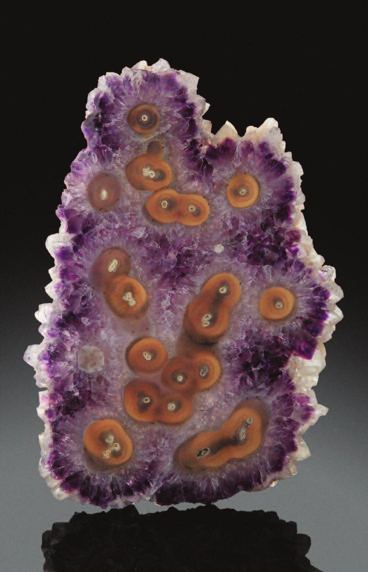 From the Famous Artigas Department in Uruguay Right: Polished cross section of an amethyst stalactite, 21 cm tall Tim and Holly Smith collection Holly Smith photo Facing page, upper: Quartz variety