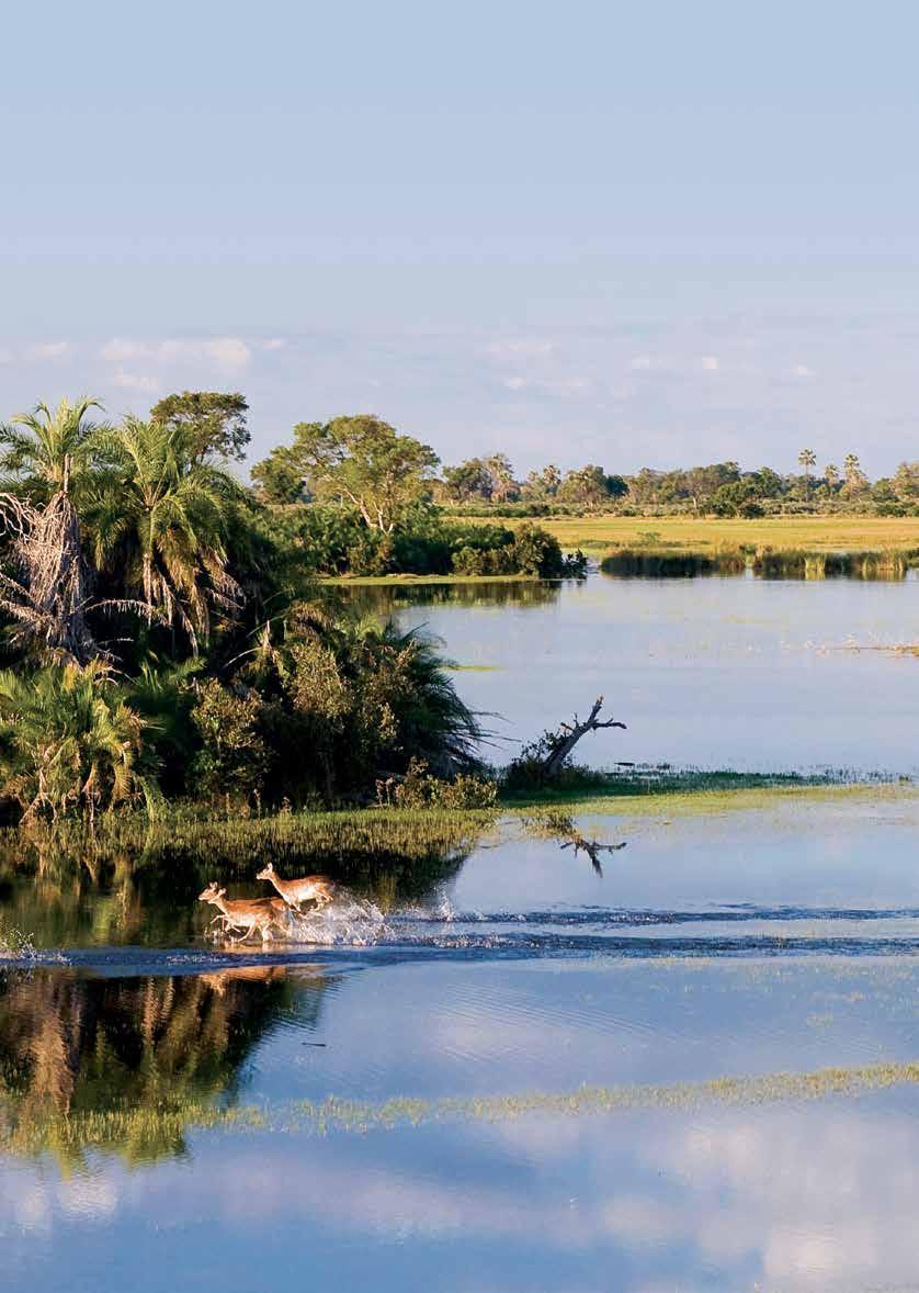 BOTSWANA Botswana is a land of vast open spaces and stunning contrasts.