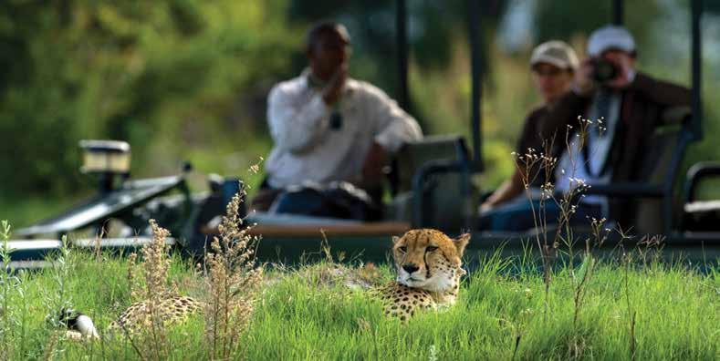 FLY-IN LODGES BOTSWANA Exceptional cheetah viewing Dave Hamman SEBA CAMP Located in ancient