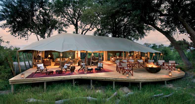 Zarafa and the two Selinda camps are situated in the 320,000-acre Selinda Reserve, a prime wildlife-viewing destination, whilst Duba Plains and Duba Expedition Camp are located in the northern