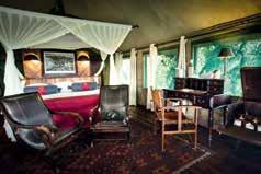 DUBA EXPEDITION CAMP This camp sits in a classic delta landscape of islands, floodplain and woodland.