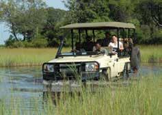 BOTSWANA FLY-IN LODGES Lions on the lookout in Moremi Game Reserve Sanctuary Retreats CLASSIC BOTSWANA 5 days/4 nights From $5078 per person twin share Additional nights available Departs daily ex