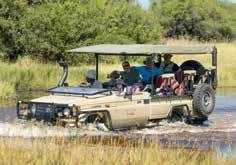 Days 1-3 Moremi Game Reserve Fly by light aircraft to Xakanaxa airstrip where you will meet your guide and travel on to your comfortable camp for the next 3 nights.
