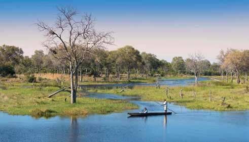 Explore the waterways and wildlife of Botswana's famous Delta, and the huge number of elephants, predators and prey of the Linyanti Reserve.