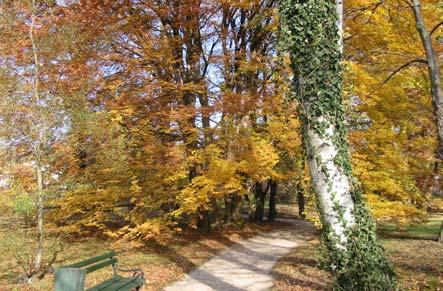 8 Zeleno okolje vrta je prijeten prostor za lep sprehod ali sprostitev v senci dreves.