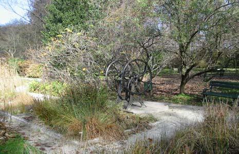 Najimenitnejše drevo v arboretumu je lipa (Tilia platyphyllos), ki je starejše kot vrt sam. Zasadil jo je sam maršal Auguste Marmont.