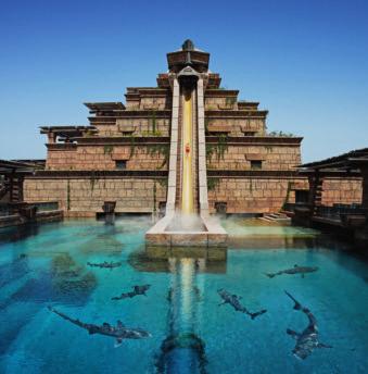 Deluxe Room Ziggurat, Aquaventure The Lost Chambers Atlantis - The Palm Location: Palm Jumeirah From atop the crescent of The Palm Jumeirah, the flagship resort Atlantis transports guests into a