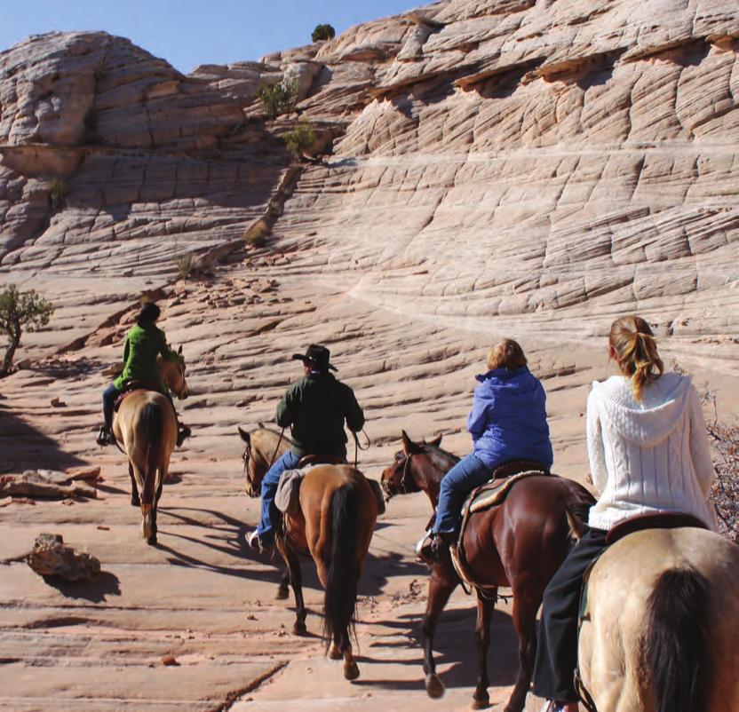 Horseback Riding For an iconic Western experience, join Amangiri s wranglers on a truly authentic ride.