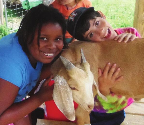 In groups organized by grade, campers will work in the garden, collect chicken eggs, groom the pony, milk the cow, feed the pigs, and pet the sheep and goats.