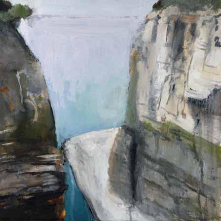 Cliffs and Ledge Tasman Peninsula