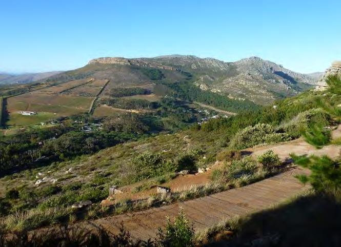 From Maclears there is a gradual descent to Constantia Nek with spectacular