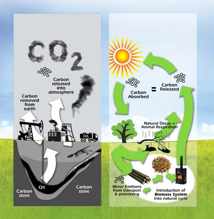 1. UVOD 1.1 Biomasa Biomasa je tvar dobivena od živućih ili donedavno živućih organizama, koja se može koristiti kao gorivo. Može biti biljnog ili životinjskog porijekla.