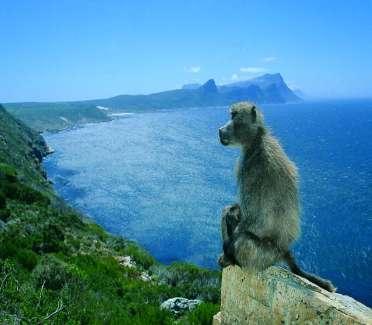 The City of Cape Town World Bio & Heritage Hotspot Urban Biodiversity Hotspot